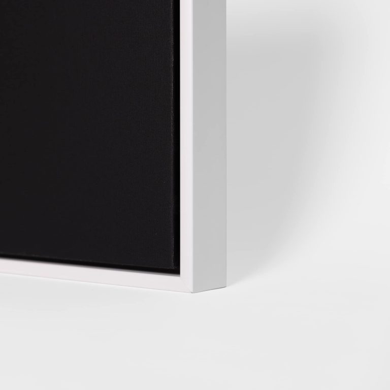 FLOATING FRAMES 005 floating frame canvas